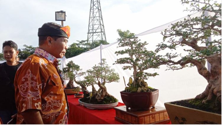 Kukuhkan Komunitas Bonsai Tarakan, Gubernur Dorong Tingkatkan Karya dan Inovasi | Tarakan TV