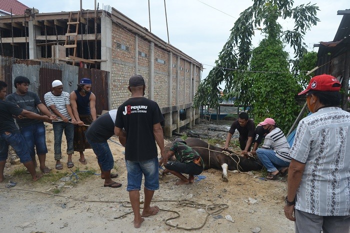 Patuhi Protokol Kesehatan, RT 7 Lingkas Ujung Lakukan Pemotongan Kurban Mandiri | Tarakan TV